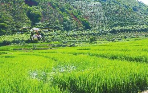 飛防病蟲(chóng)害有操作規(guī)范 植保無(wú)人機(jī)規(guī)模日益變大