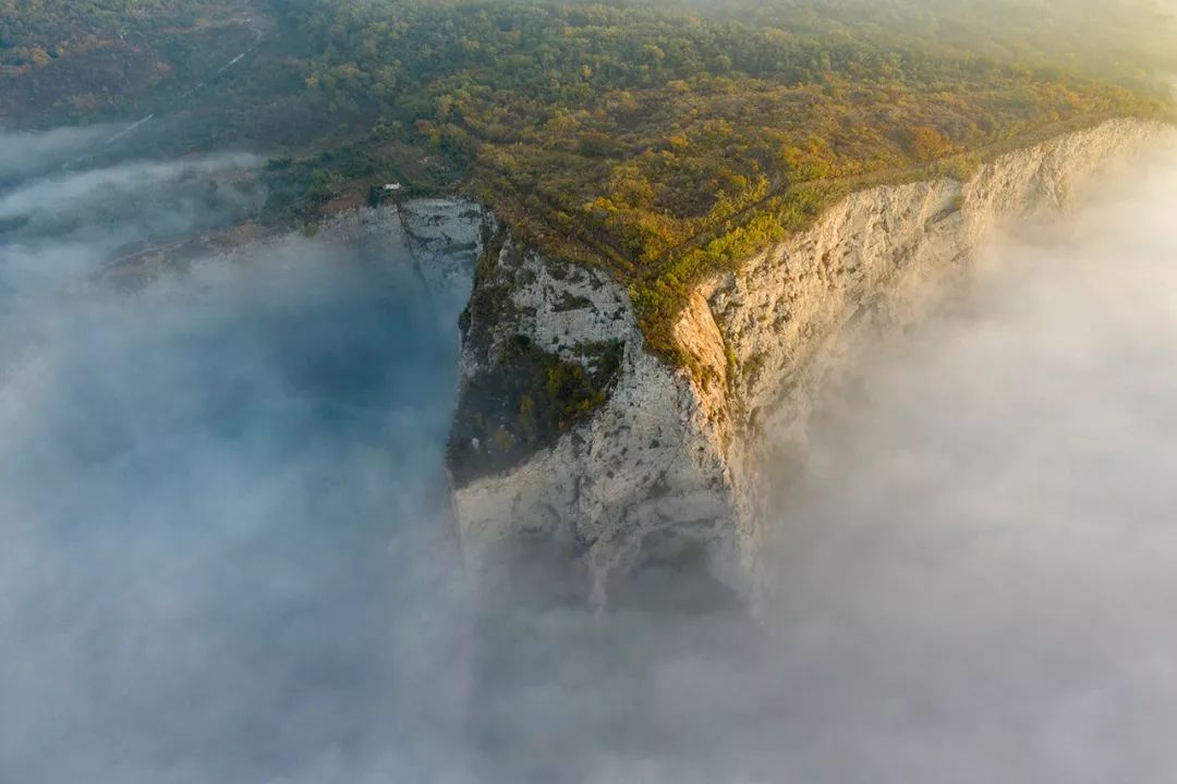 拍攝林中霧景