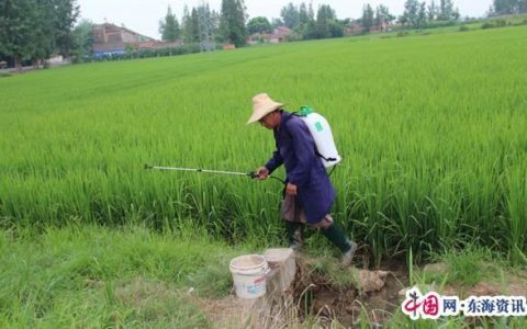 人工打藥和植保無(wú)人機(jī)作業(yè)，哪個(gè)好？