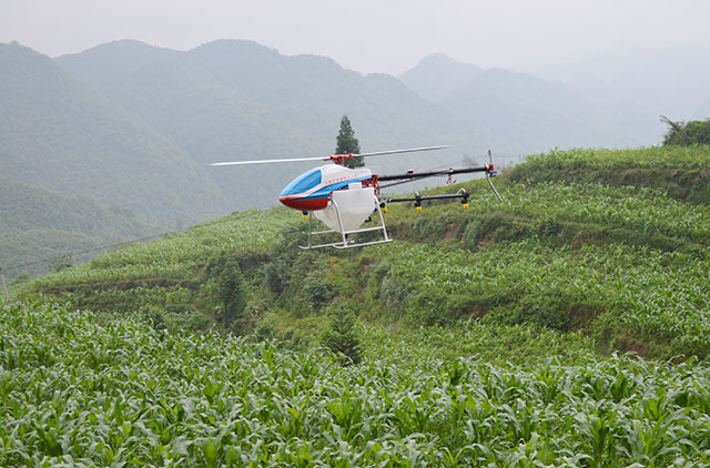 植保無人機(jī)防治玉米薊馬