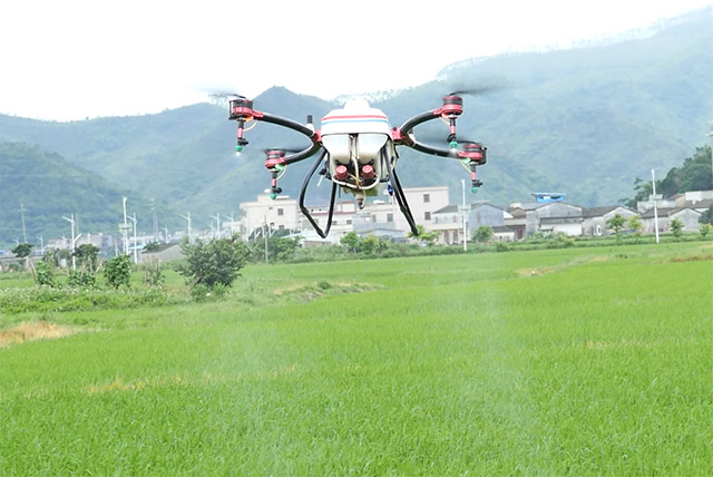 青蔥的稻田上，天鷹兄弟植保無人機展翅盤旋