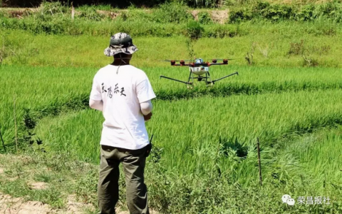 "榮昌造"無人機(jī)赴巴南植保作業(yè)