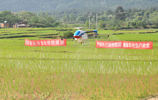 植保無人機在作業(yè)上與傳統(tǒng)人工噴霧器相比具有高效、節(jié)藥、安全、便利等優(yōu)勢