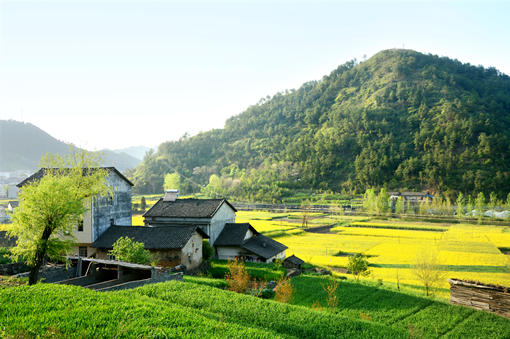 「植保無人機(jī)」農(nóng)業(yè)植保無人機(jī)駕駛員真的月入10萬？