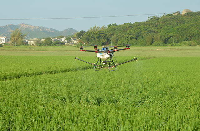 蔬菜、瓜果及其他經(jīng)濟(jì)作物植保作業(yè)技巧