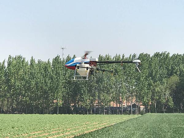 山東昌邑植保無人機(jī)助推小麥病蟲害防治 