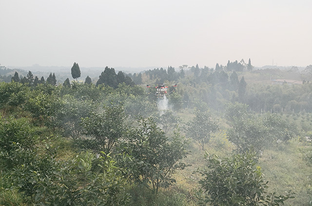 在樂山市井研縣，一臺(tái)植保無人機(jī)緩緩升空