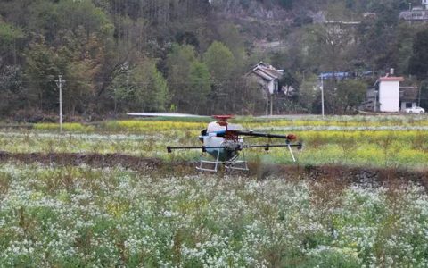 盤州市：植保無人機為軟籽石榴施肥施藥