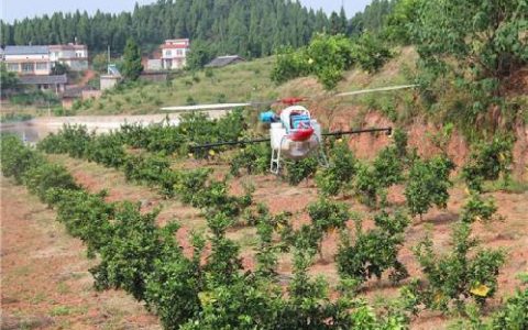 植保無人機(jī)榮昌柑橘用植保無人機(jī)施肥