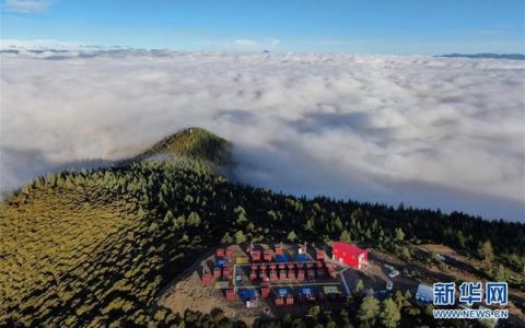 四川雅江：借助無人機松茸“飛”出山