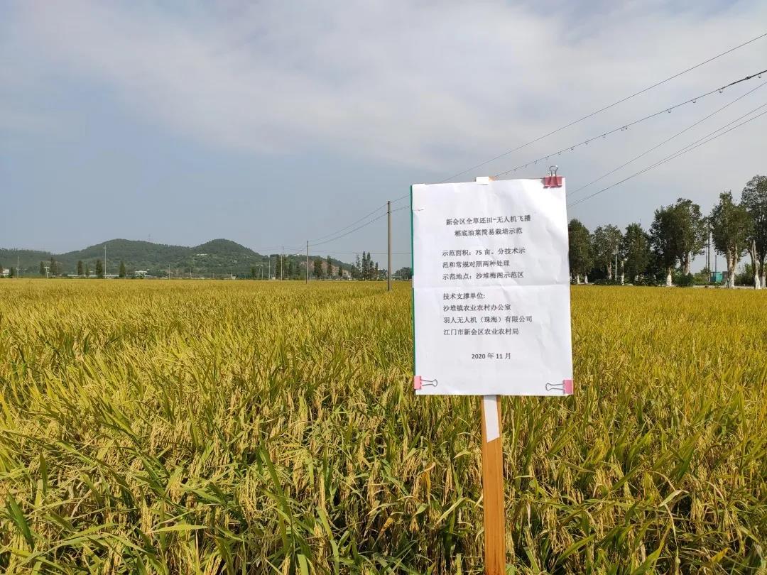 解鎖新技能！珠海羽人無人機(jī)廣東新會(huì)飛播稻底油菜