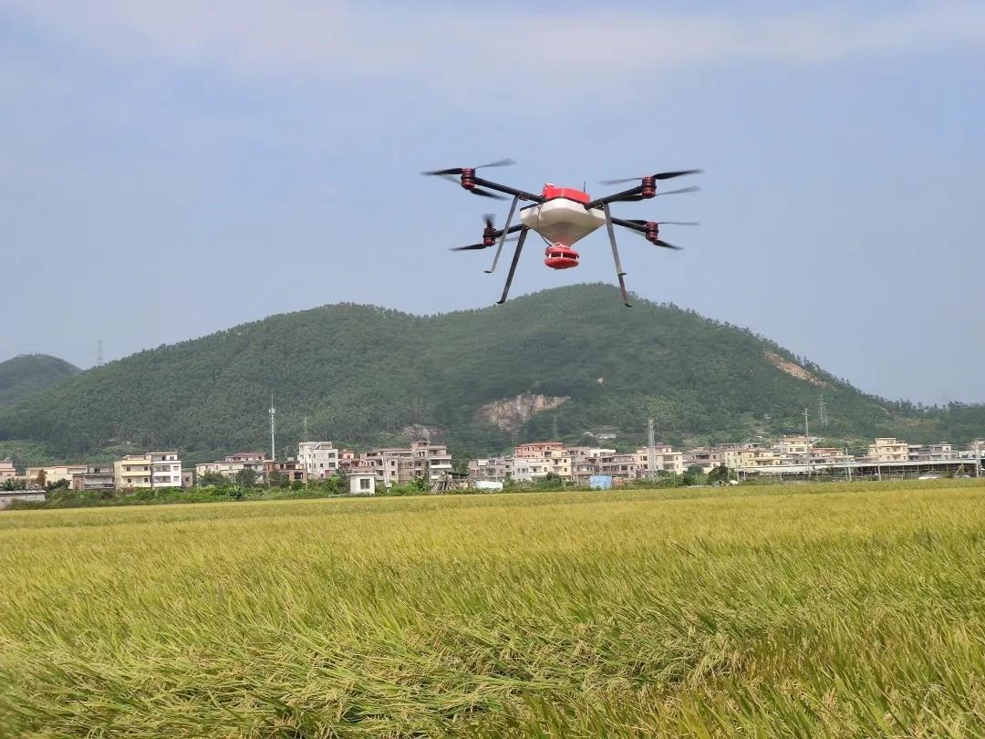 明年高校畢業(yè)生將首次突破900萬人，無人機駕駛員人才緊缺