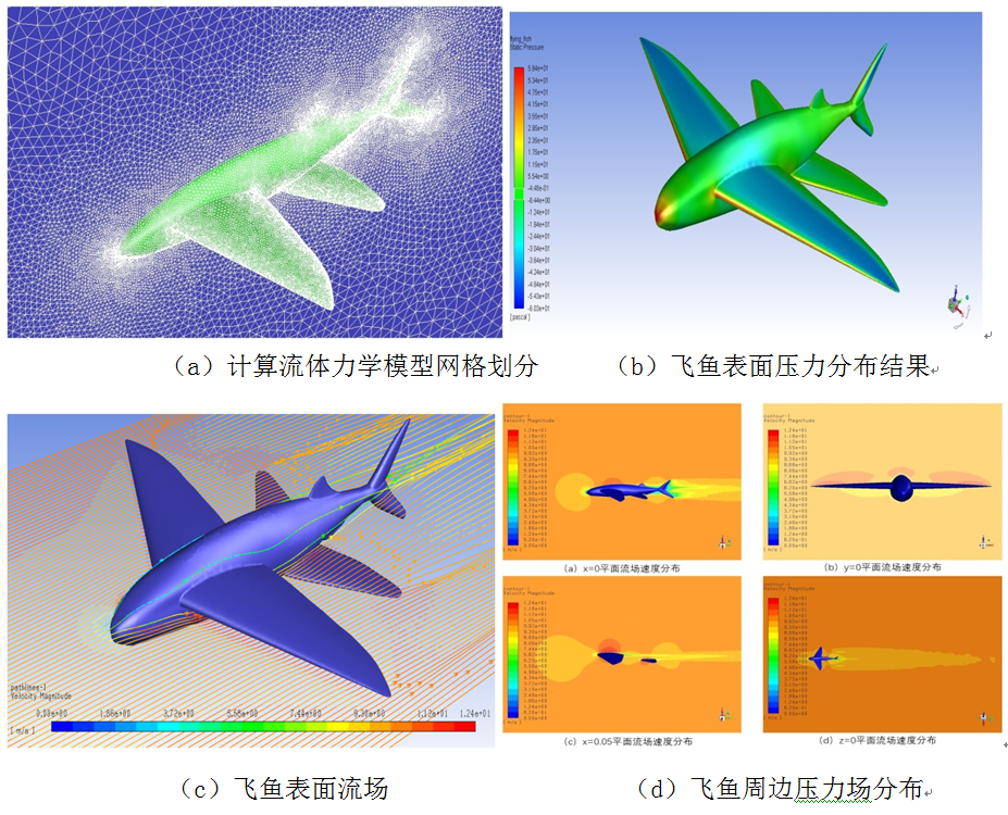 同濟(jì)大學(xué)師生模仿飛魚(yú)，研制出新型無(wú)人機(jī)，抗失速能力優(yōu)越