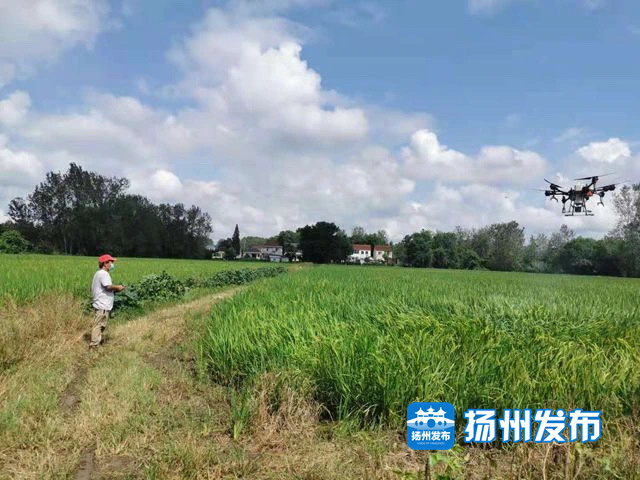 防疫農(nóng)時兩不誤，植保無人機(jī)疫情期間“顯身手”