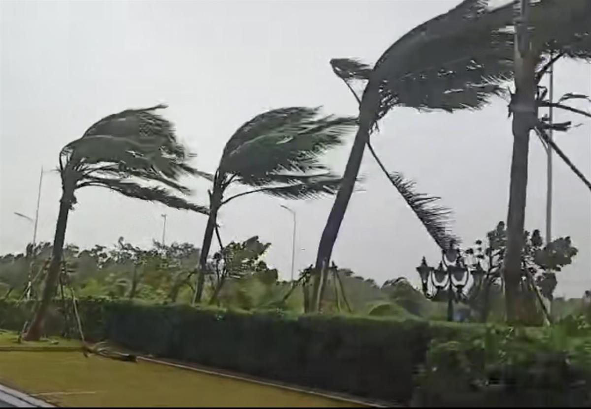 臺風“圓規(guī)”登陸海南瓊海，多地海水倒灌，倒伏樹木超3000棵