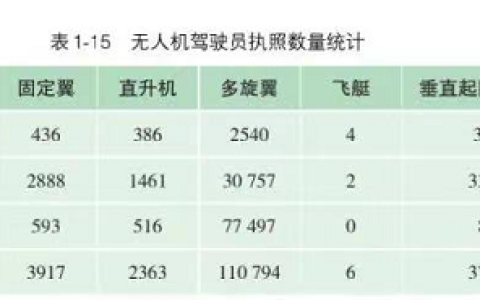 2022無人機(jī)駕駛員執(zhí)照數(shù)量(這類無人機(jī)執(zhí)照存在大量缺口)