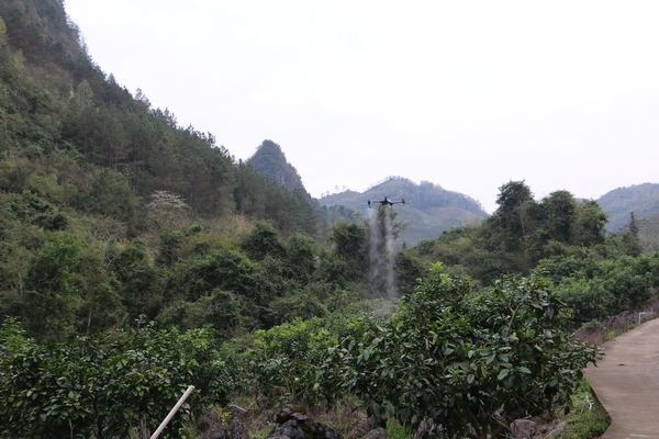 一畝地追肥僅需1分鐘 荔波無人機高效助春耕