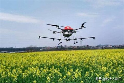 2020購買植保無人機補貼多少錢？怎么領?。扛阶钚卵a貼標準