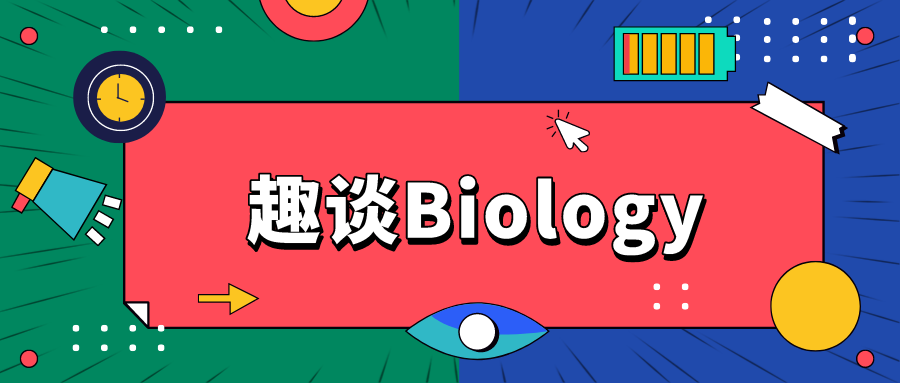 樂高、無人機(jī)……30+個(gè)趣味課程!再不帶你家娃來報(bào)名就晚了!