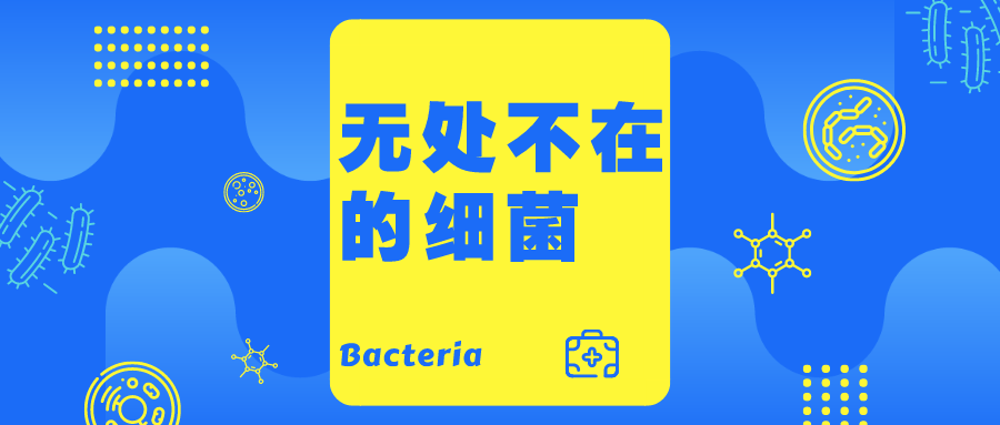 樂高、無人機(jī)……30+個(gè)趣味課程!再不帶你家娃來報(bào)名就晚了!